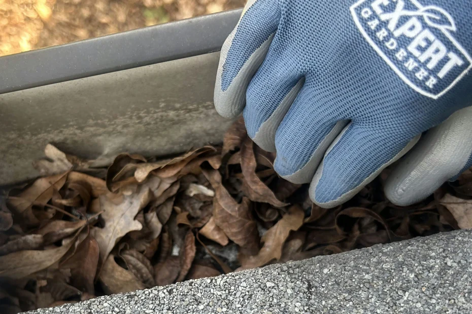 Gutter Cleaning Chamberlayne