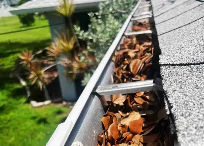 Gutter Cleaning Chamberlayne home page